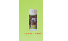樹木移載養護系列