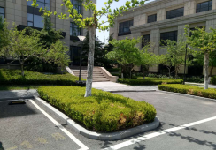 大連國際商務城A區景觀綠化工程